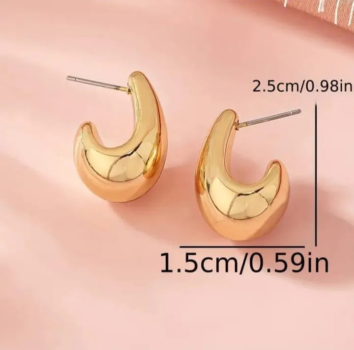 Modern Design Gold Plated Earrings