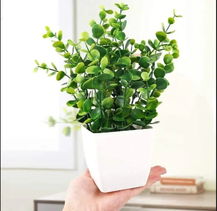 1 Pc Planter For Home Decor